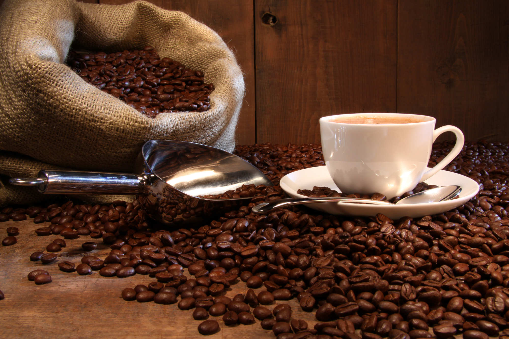 bEST COFFEE SPOTS IN MONTREAL